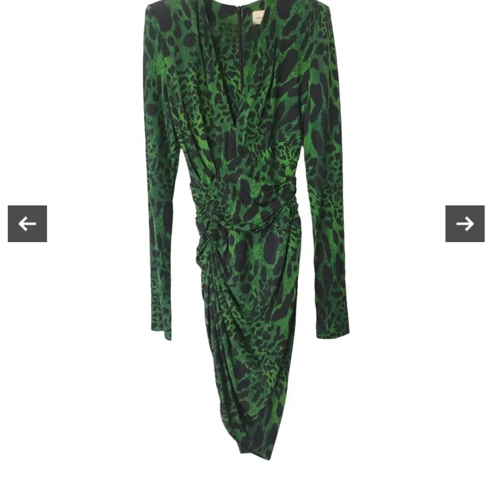 Chic Green Animal Print Long Sleeve Dress